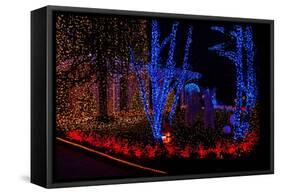 Christmas Lights-Fulvio-Framed Stretched Canvas