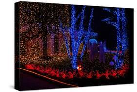 Christmas Lights-Fulvio-Stretched Canvas