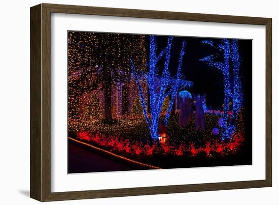 Christmas Lights-Fulvio-Framed Photographic Print