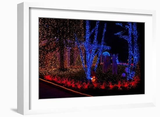 Christmas Lights-Fulvio-Framed Photographic Print