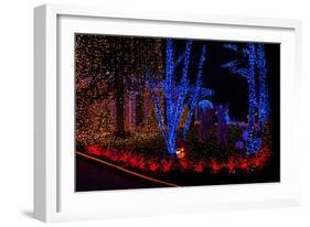 Christmas Lights-Fulvio-Framed Photographic Print