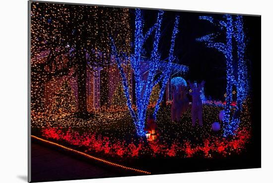 Christmas Lights-Fulvio-Mounted Photographic Print