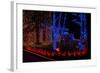 Christmas Lights-Fulvio-Framed Photographic Print