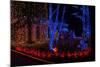 Christmas Lights-Fulvio-Mounted Photographic Print