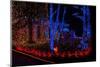 Christmas Lights-Fulvio-Mounted Photographic Print