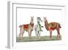 Christmas Llamas-Elizabeth Medley-Framed Art Print