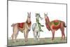 Christmas Llamas-Elizabeth Medley-Mounted Art Print