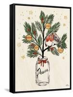 Christmas Lovebirds VI-Janelle Penner-Framed Stretched Canvas