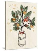 Christmas Lovebirds VI-Janelle Penner-Stretched Canvas