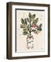 Christmas Lovebirds VI-Janelle Penner-Framed Art Print