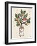 Christmas Lovebirds VI-Janelle Penner-Framed Art Print