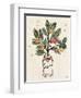 Christmas Lovebirds VI-Janelle Penner-Framed Art Print