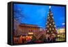 Christmas Market and the Biggest Christmas Tree in the World-Frank Fell-Framed Stretched Canvas