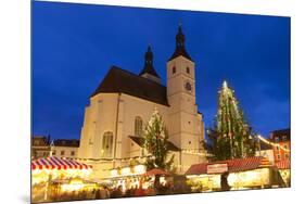 Christmas Market in Neupfarrplatz, Regensburg, Bavaria, Germany, Europe-Miles Ertman-Mounted Photographic Print