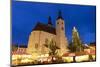 Christmas Market in Neupfarrplatz, Regensburg, Bavaria, Germany, Europe-Miles Ertman-Mounted Photographic Print