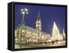 Christmas Market, Rathaus, Hamburg, State of Hamburg, Germany-Jon Arnold-Framed Stretched Canvas