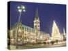 Christmas Market, Rathaus, Hamburg, State of Hamburg, Germany-Jon Arnold-Stretched Canvas