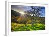 Christmas Morning Light at Mount Diablo, San Francisco Bay Area-Vincent James-Framed Photographic Print