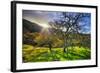 Christmas Morning Light at Mount Diablo, San Francisco Bay Area-Vincent James-Framed Photographic Print