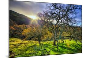 Christmas Morning Light at Mount Diablo, San Francisco Bay Area-Vincent James-Mounted Photographic Print