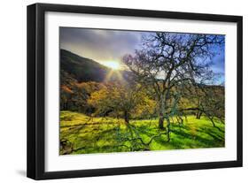 Christmas Morning Light at Mount Diablo, San Francisco Bay Area-Vincent James-Framed Photographic Print