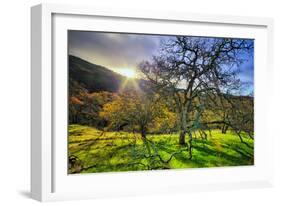 Christmas Morning Light at Mount Diablo, San Francisco Bay Area-Vincent James-Framed Photographic Print