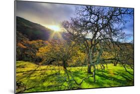 Christmas Morning Light at Mount Diablo, San Francisco Bay Area-Vincent James-Mounted Photographic Print