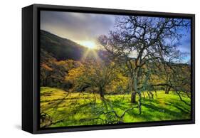 Christmas Morning Light at Mount Diablo, San Francisco Bay Area-Vincent James-Framed Stretched Canvas