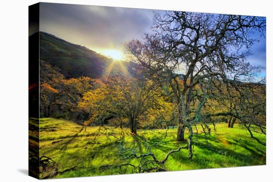 Christmas Morning Light at Mount Diablo, San Francisco Bay Area-Vincent James-Stretched Canvas