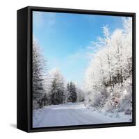 Christmas Morning. Snowy Winter Forest and Knurled Wide Trails.-kavram-Framed Stretched Canvas