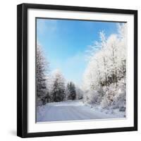 Christmas Morning. Snowy Winter Forest and Knurled Wide Trails.-kavram-Framed Photographic Print