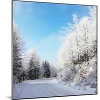 Christmas Morning. Snowy Winter Forest and Knurled Wide Trails.-kavram-Mounted Photographic Print