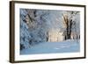 Christmas Morning. Snowy Winter Forest and Knurled Wide Trails.-kavram-Framed Photographic Print