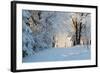 Christmas Morning. Snowy Winter Forest and Knurled Wide Trails.-kavram-Framed Photographic Print