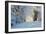 Christmas Morning. Snowy Winter Forest and Knurled Wide Trails.-kavram-Framed Photographic Print