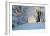 Christmas Morning. Snowy Winter Forest and Knurled Wide Trails.-kavram-Framed Photographic Print