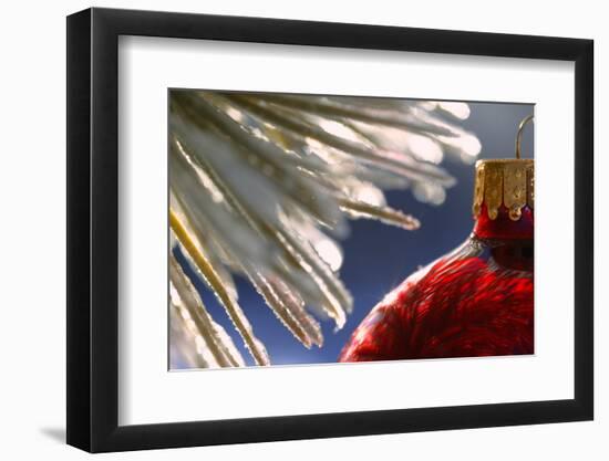 Christmas ornament hanging on snow-covered tree-Design Pics-Framed Photographic Print