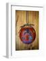 Christmas ornament of a painted ball with colorful Native American horses-Angel Wynn-Framed Photographic Print