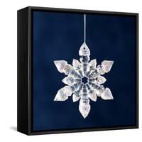 Christmas Ornament-Sean Justice-Framed Stretched Canvas