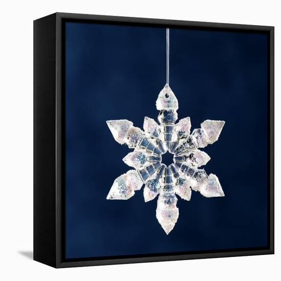 Christmas Ornament-Sean Justice-Framed Stretched Canvas