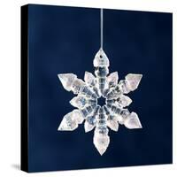 Christmas Ornament-Sean Justice-Stretched Canvas