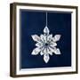 Christmas Ornament-Sean Justice-Framed Photographic Print