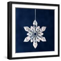 Christmas Ornament-Sean Justice-Framed Photographic Print