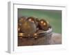 Christmas Ornaments in Crystal Bowl-Michele Westmorland-Framed Photographic Print