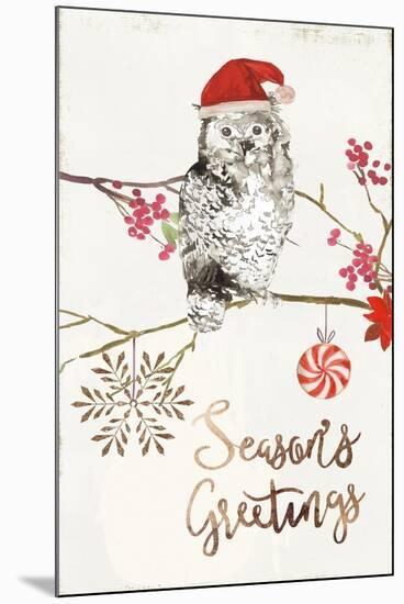 Christmas Owl II-PI Studio-Mounted Art Print