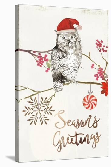 Christmas Owl II-PI Studio-Stretched Canvas