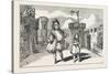 Christmas Pantomimes: Adelphi. Scene from the Christmas Tale of Little Red Riding Hood. Uk-null-Stretched Canvas