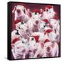 Christmas Piggies-Jenny Newland-Framed Stretched Canvas