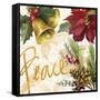 Christmas Poinsettia II-Lanie Loreth-Framed Stretched Canvas