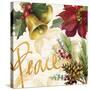 Christmas Poinsettia II-Lanie Loreth-Stretched Canvas